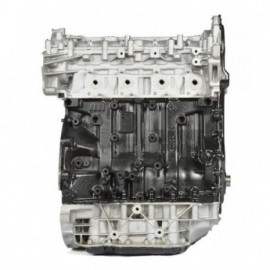Motor Desnudo Renault Megane II 2002-2010 2.0 D dCi M9R721 110/150 CV